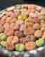 Lithops Plants 3st - Stone Flowers