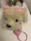 Interaktiv Valp HP Walk Along Cream puppy