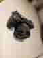 Sony a7C II nyskick