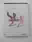 *NY* Final Fantasy XIII-2: The Complete Official Guide, Piggyback, 2012
