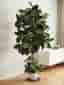 Fikus Robusta konstgjord växt