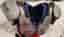 Douglas Zena Shoulderpad (S, 16-17“) Dam + Riddell Large