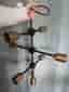 Molecular House Doctor