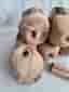 Garnpaket08; med 12x50gr, 100 % kashmir(cashmere), beige/khaki.