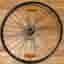 Bakhjul Bontrager 28” (622-20) 8-10vxl