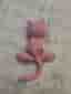 Rosa Virkad Mew Pokémon