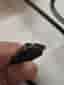 Micro-USB Laddare