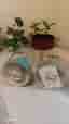 North Light Colours Lampa