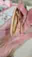 Pink kirby hair clips cute