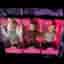 Tesco Sindy ( ej Pedigree) 2017 - 3 dolls MIB