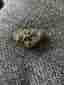 Naturlig PYRIT Kristall (Kattguld) – Kluster | Natural Pyrite Cluster Crystal Sp