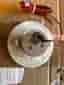 Infälld LED-spotlight P-138 COB 10.2V DC 500mA 5W 3000K IP44