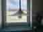 BELID LIGHTING TRUE design semi pendellampa i vit