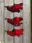 Swix Ski Vise