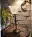 Bordslampa med frostat glas Cottex Sweden
