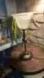 Bordslampa med frostat glas Cottex Sweden
