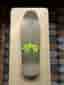 New DealAndy Howell Skateboard Deck 30th Anniversary