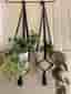 Svarta amplar, 2 st, 16-20 cm,handmade