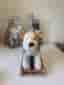Egmont Toys Eliot Dragdjur