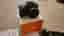 Sony ZV-E10 + 16–50mm – Mycket fint skick
