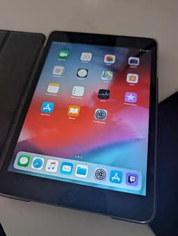 iPad mini 2