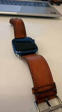 Apple watch series 7 GPS & LTE 45 mm, Hermes Armband