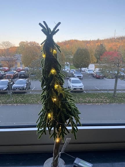 Gran med belysning, Startrading