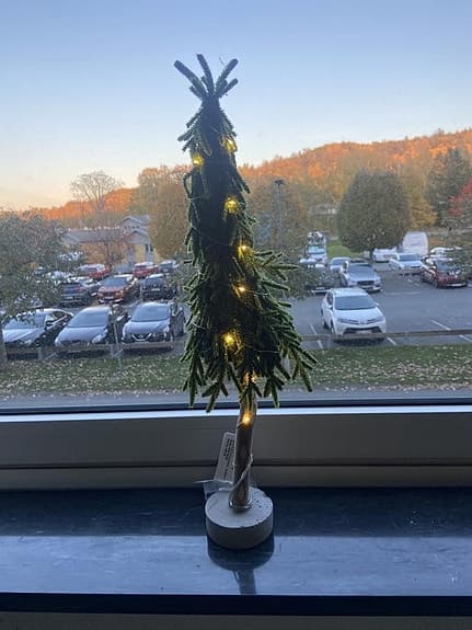 Gran med belysning, Startrading