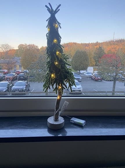 Gran med belysning, Startrading