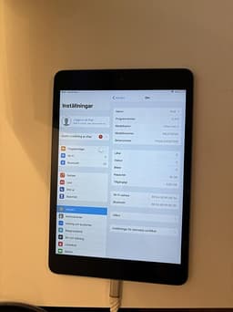 iPad Mini 2