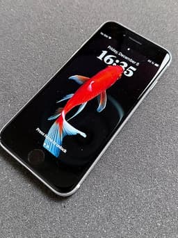 Apple iPhone SE 2020 64 GB vit