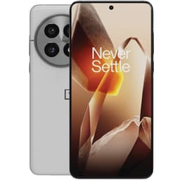 OnePlus 13 Arctic Dawn 512 GB Klass B (refurbished)