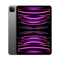 iPad Pro 11" Wi-Fi M2 (4th Gen) 128GB Grade C Refurbished