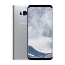 Begagnad Galaxy S8 64GB Gray- Använt skick (C)