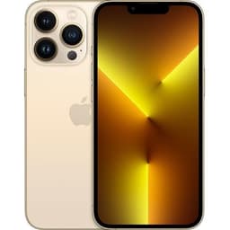 iPhone 13 Pro Max 256GB Guld Grade A+ Refurbished