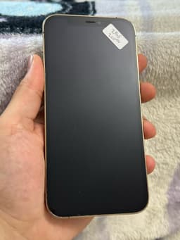 iPhone 12 Pro, 256GB, 100% Batterihälsa