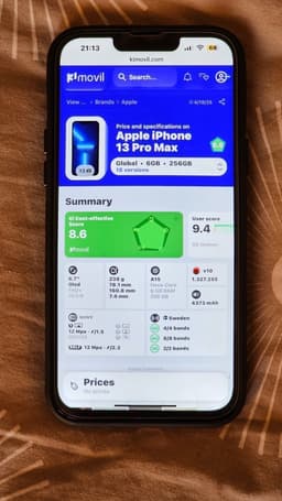 iPhone 13 Pro Max 256gb