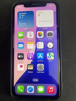 iPhone XR