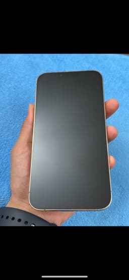 iPhone 13 Pro Max 128GB, 100% Batterihälsa