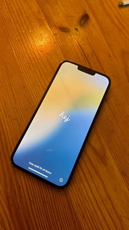 iPhone 13 Pro Max