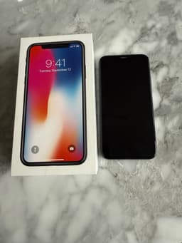 iPhone X