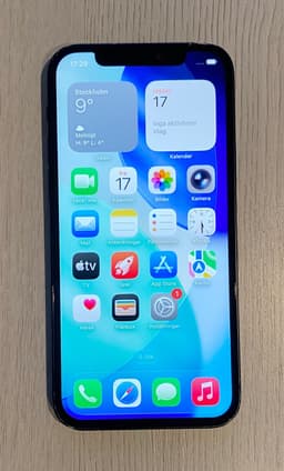 Apple iPhone 12 128GB Wi-Fi Svart - GOTT SKICK
