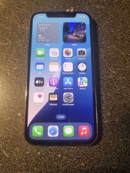 Pass på iPhone 12pro
