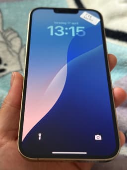 iPhone 13 Pro Max, 128GB, 100% Batterihälsa