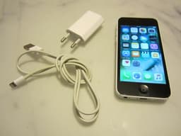 Apple iPhone 5C (A1507)