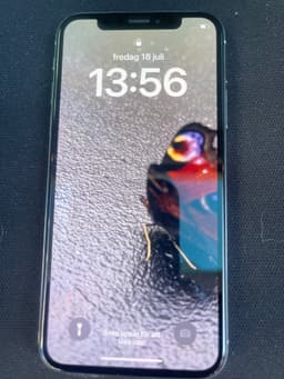 iPhone X