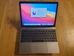 Apple Macbook 2016 (early) 12" 8GB RAM, 256gb SSD med laddare