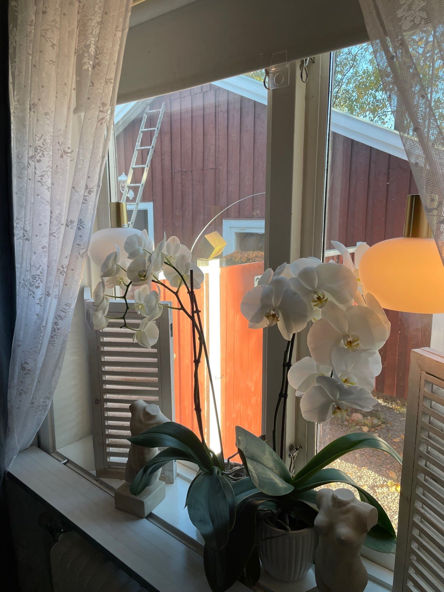 Fönsterlampor
