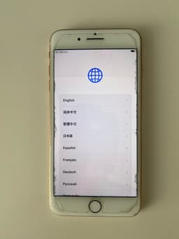 iPhone 8 Plus 256 GB