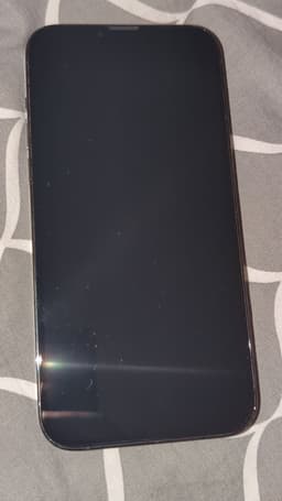 iPhone 13 Pro Max 256GB – Olåst, toppskick, batteri 84%, alltid haft skydd!
